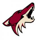 Arizona Coyotes