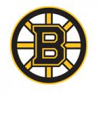 Boston Bruins